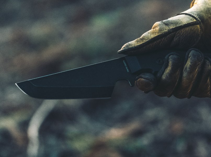 stories_delta-talon-0-2-