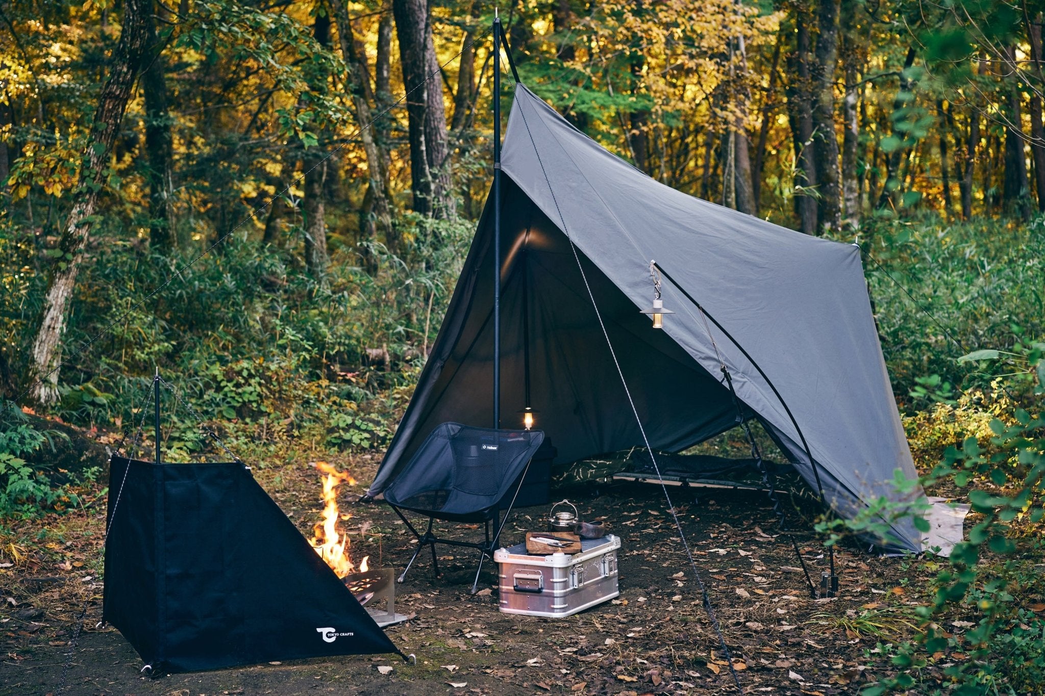 1102TC9666-254076_2048x.jpg?v=