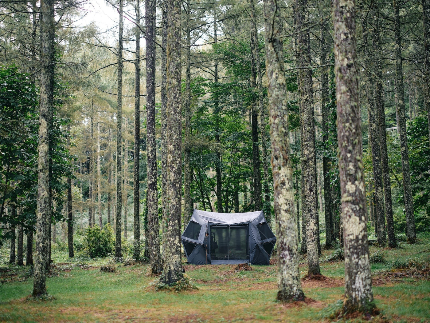 グラハスM - TOKYO CRAFTS