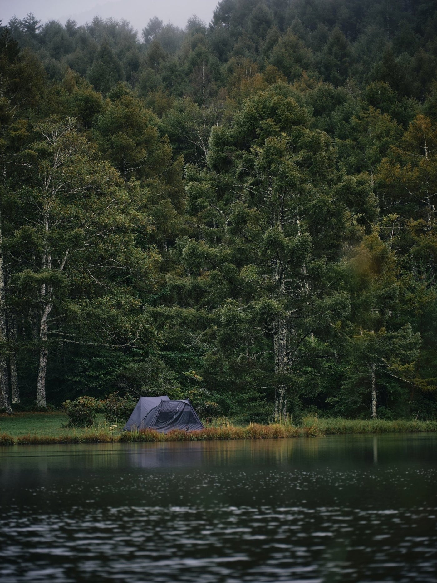 オルターフォート（インナーテント付属） - TOKYO CRAFTS