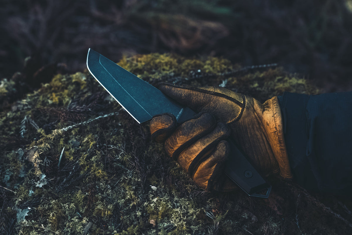 DELTA TALON Developer's Thoughts