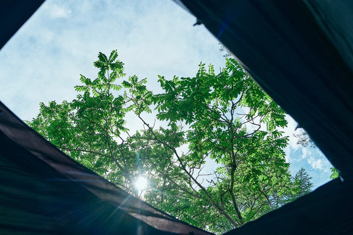 モントープ＋インナーテントセット売り – TOKYO CRAFTS