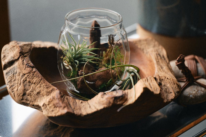 オイルランタングローブ槌目クリア – TOKYO CRAFTS