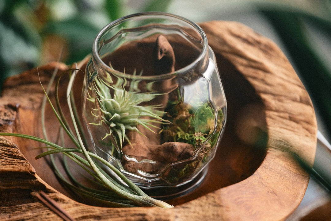 オイルランタングローブ槌目クリア – TOKYO CRAFTS