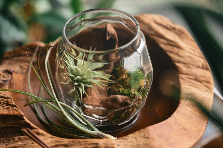 オイルランタングローブ槌目クリア – TOKYO CRAFTS