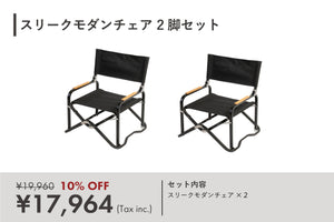 Sleek modern chair set of 2